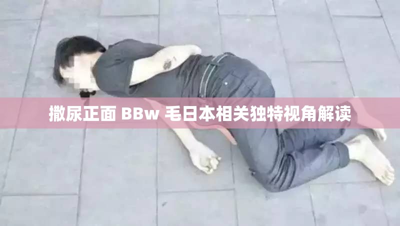 撒尿正面 BBw 毛日本相關(guān)獨特視角解讀
