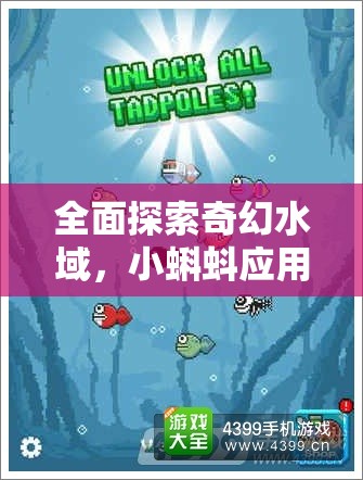 全面探索奇幻水域，小蝌蚪應(yīng)用安裝與配置詳細(xì)步驟全攻略