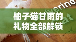 柚子貓甘雨的禮物全部解鎖版：精彩絕倫的互動(dòng)體驗(yàn)