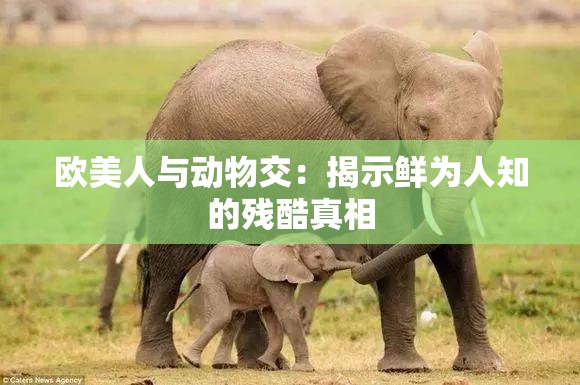 歐美人與動(dòng)物交：揭示鮮為人知的殘酷真相