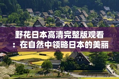 野花日本高清完整版觀看：在自然中領(lǐng)略日本的美麗與純粹