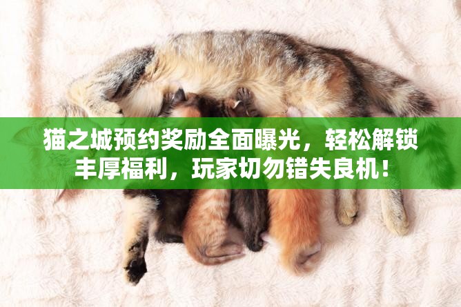 貓之城預約獎勵全面曝光，輕松解鎖豐厚福利，玩家切勿錯失良機！