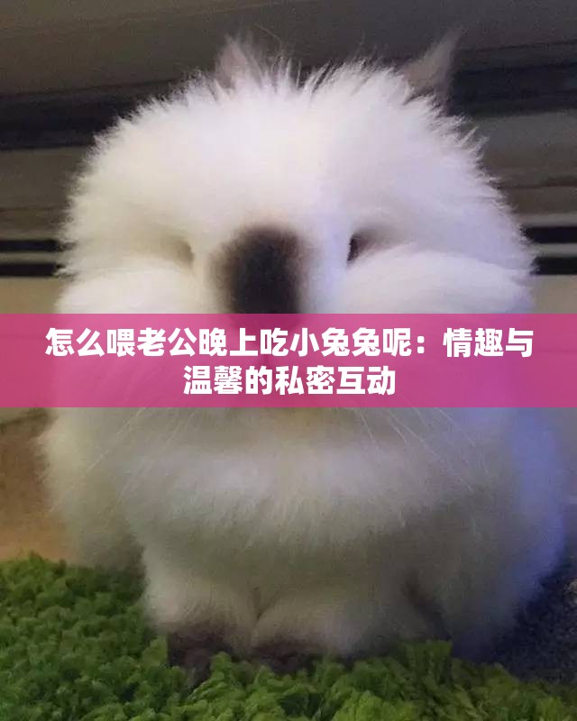 怎么喂老公晚上吃小兔兔呢：情趣與溫馨的私密互動