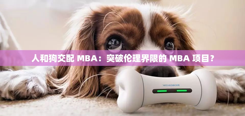 人和狗交配 MBA：突破倫理界限的 MBA 項目？