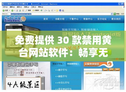 免費提供 30 款禁用黃臺網站軟件：暢享無干擾網絡體驗
