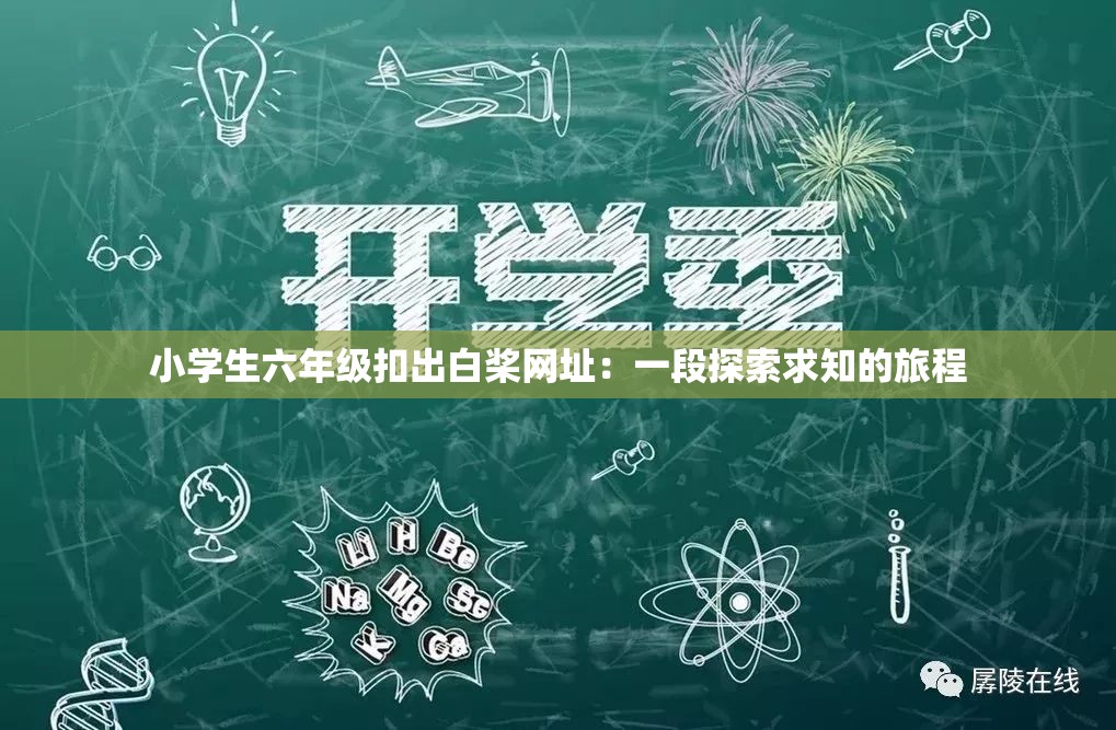 小學生六年級扣出白槳網址：一段探索求知的旅程