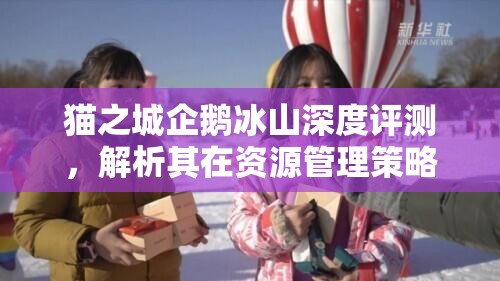 貓之城企鵝冰山深度評測，解析其在資源管理策略中的關鍵價值與影響