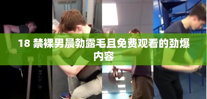 18 禁裸男晨勃露毛且免費觀看的勁爆內(nèi)容
