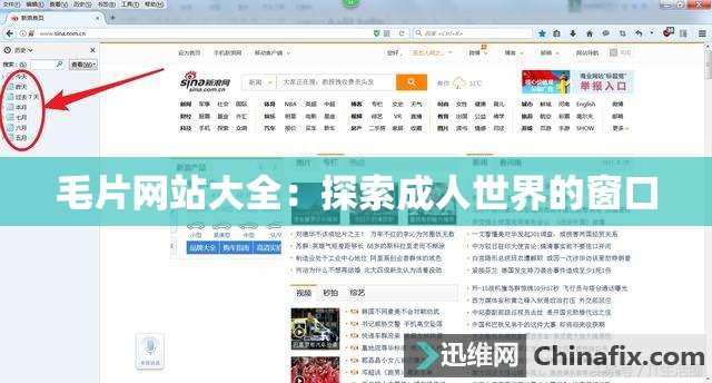 毛片網(wǎng)站大全：探索成人世界的窗口