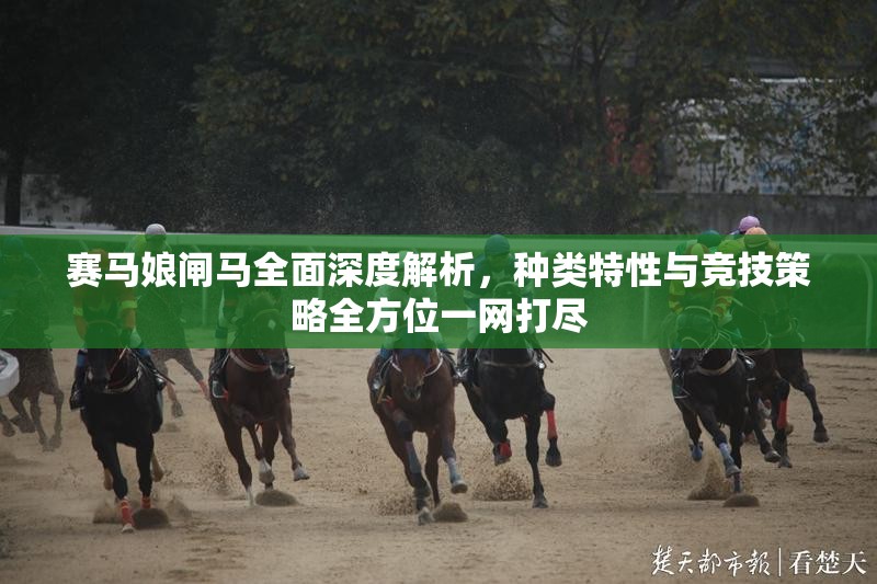 賽馬娘閘馬全面深度解析，種類特性與競技策略全方位一網(wǎng)打盡