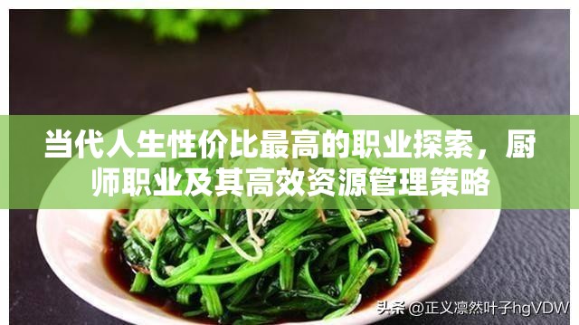 當(dāng)代人生性價(jià)比最高的職業(yè)探索，廚師職業(yè)及其高效資源管理策略