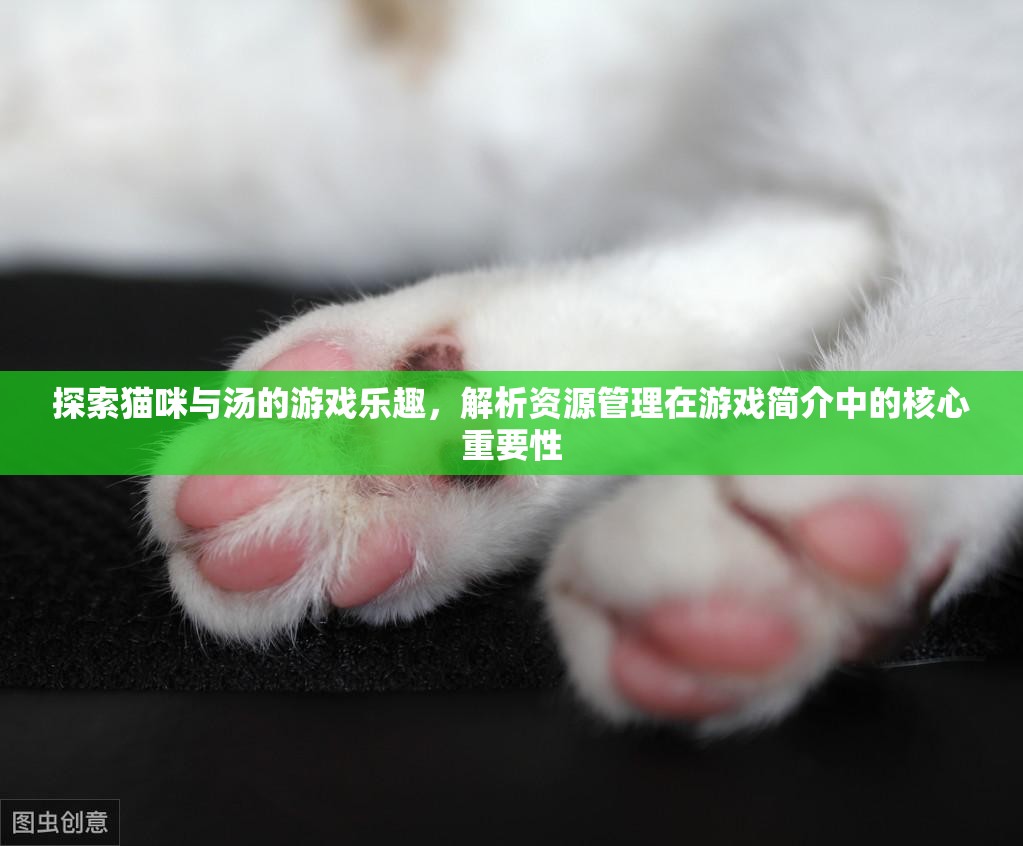 探索貓咪與湯的游戲樂趣，解析資源管理在游戲簡介中的核心重要性