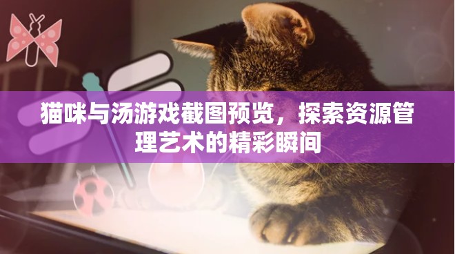 貓咪與湯游戲截圖預(yù)覽，探索資源管理藝術(shù)的精彩瞬間