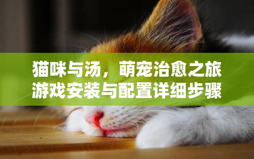 貓咪與湯，萌寵治愈之旅游戲安裝與配置詳細步驟全攻略
