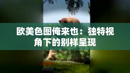 歐美色圖俺來也：獨特視角下的別樣呈現(xiàn)