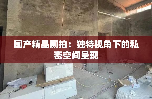 國產(chǎn)精品廁拍：獨特視角下的私密空間呈現(xiàn)