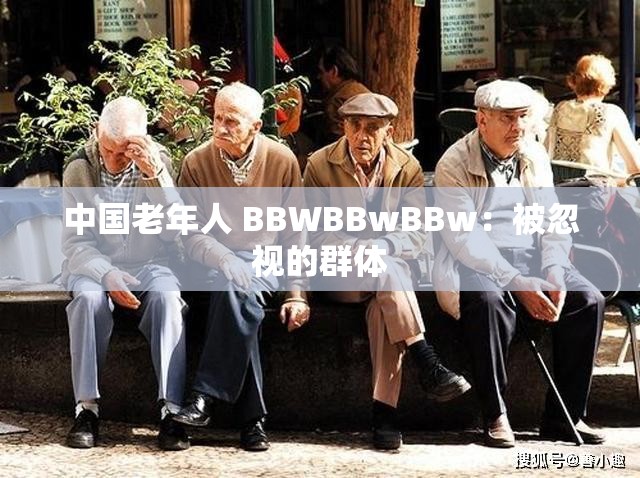 中國老年人 BBWBBwBBw：被忽視的群體