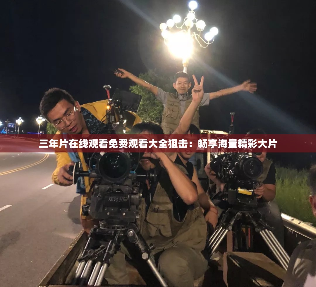 三年片在線觀看免費(fèi)觀看大全狙擊：暢享海量精彩大片