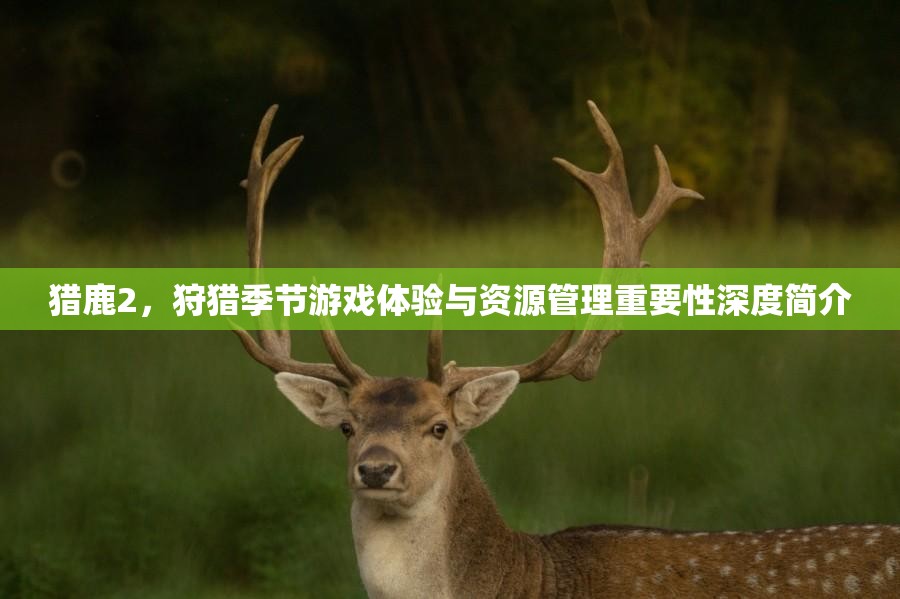 獵鹿2，狩獵季節(jié)游戲體驗(yàn)與資源管理重要性深度簡(jiǎn)介