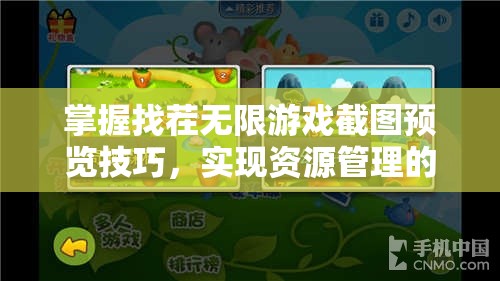 掌握找茬無(wú)限游戲截圖預(yù)覽技巧，實(shí)現(xiàn)資源管理的高效藝術(shù)與便捷