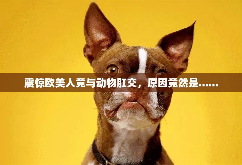 震驚歐美人竟與動物肛交，原因竟然是......