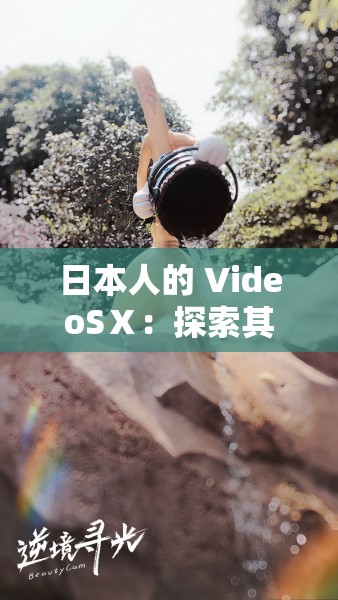 日本人的 VideoSⅩ：探索其獨(dú)特魅力與內(nèi)涵