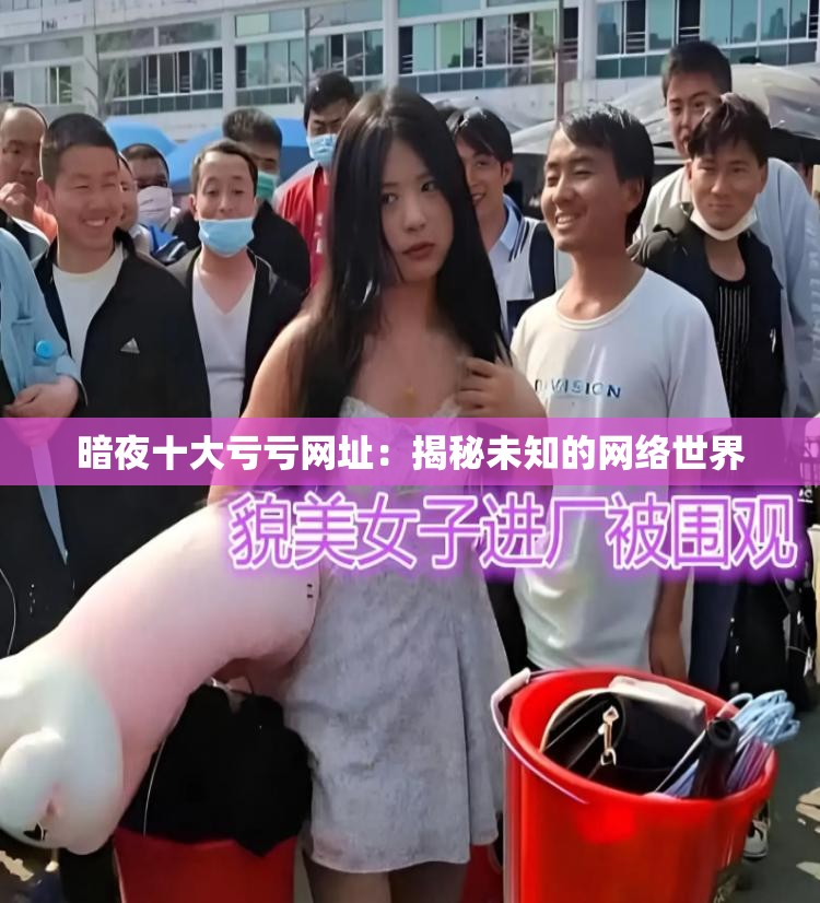暗夜十大虧虧網(wǎng)址：揭秘未知的網(wǎng)絡(luò)世界