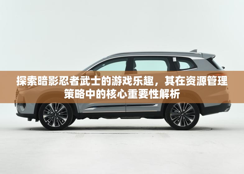 探索暗影忍者武士的游戲樂趣，其在資源管理策略中的核心重要性解析