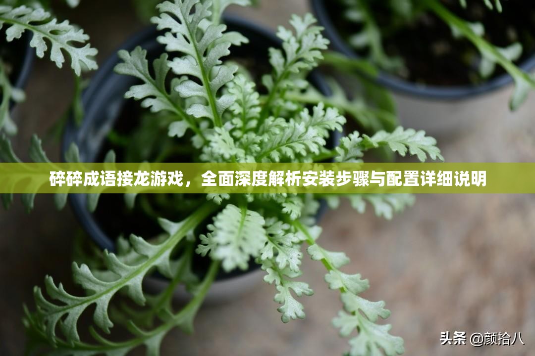 碎碎成語接龍游戲，全面深度解析安裝步驟與配置詳細說明