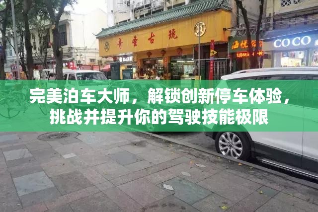 完美泊車大師，解鎖創(chuàng)新停車體驗(yàn)，挑戰(zhàn)并提升你的駕駛技能極限