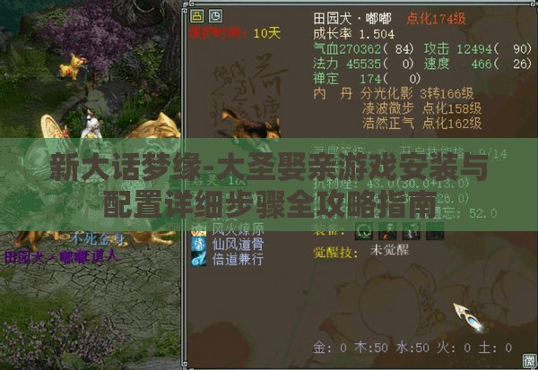 新大話夢緣-大圣娶親游戲安裝與配置詳細步驟全攻略指南