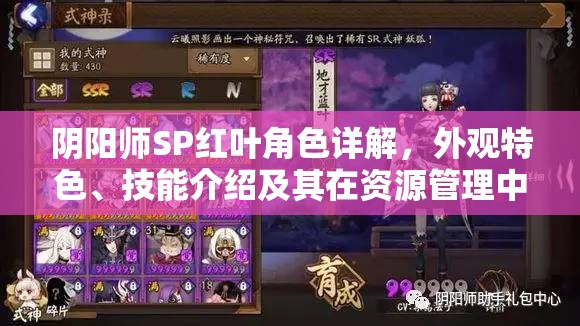 陰陽師SP紅葉角色詳解，外觀特色、技能介紹及其在資源管理中的戰(zhàn)略重要性