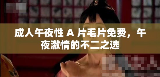 成人午夜性 A 片毛片免費(fèi)，午夜激情的不二之選