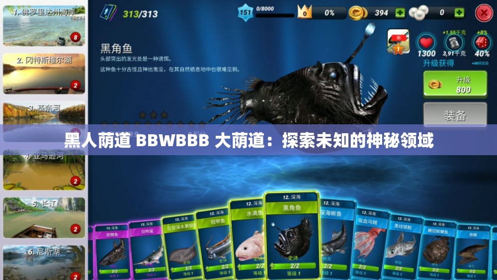 黑人蔭道 BBWBBB 大蔭道：探索未知的神秘領(lǐng)域