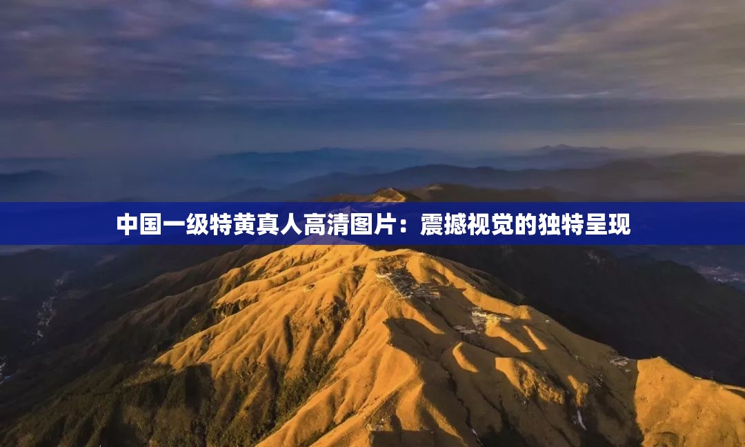中國一級特黃真人高清圖片：震撼視覺的獨(dú)特呈現(xiàn)