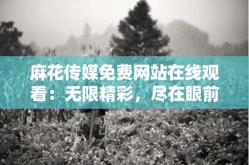 麻花傳媒免費網(wǎng)站在線觀看：無限精彩，盡在眼前