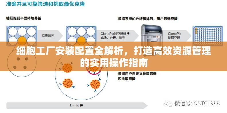 細(xì)胞工廠安裝配置全解析，打造高效資源管理的實用操作指南