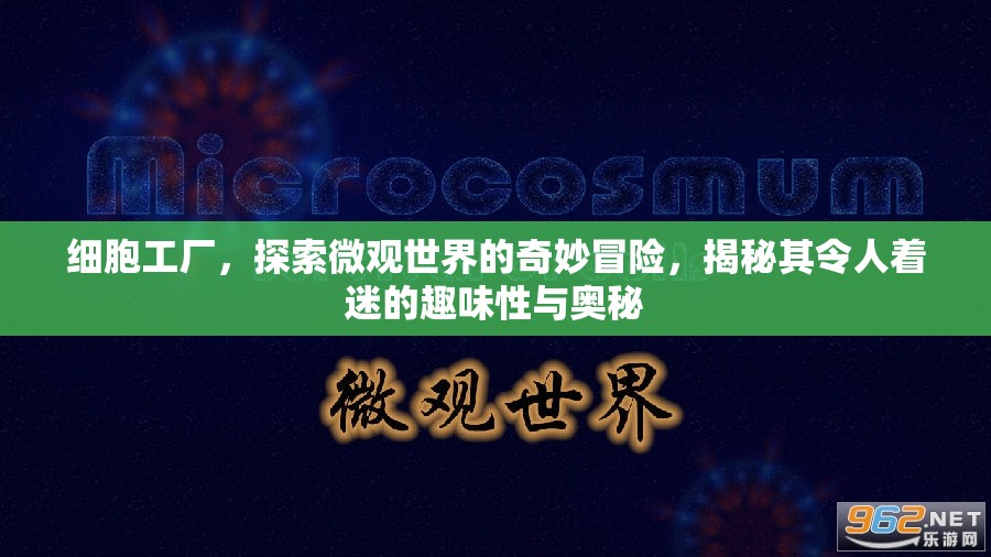 細(xì)胞工廠，探索微觀世界的奇妙冒險，揭秘其令人著迷的趣味性與奧秘