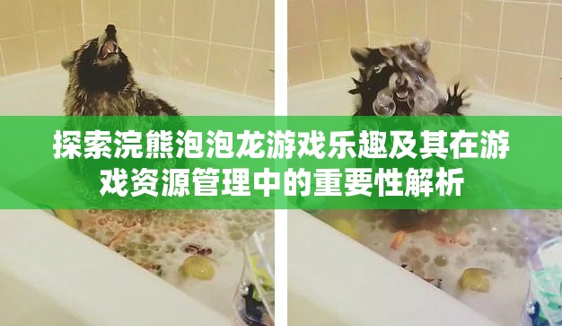 探索浣熊泡泡龍游戲樂(lè)趣及其在游戲資源管理中的重要性解析