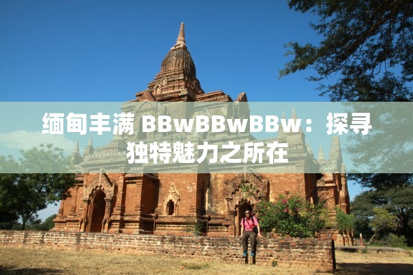 緬甸豐滿 BBwBBwBBw：探尋獨(dú)特魅力之所在