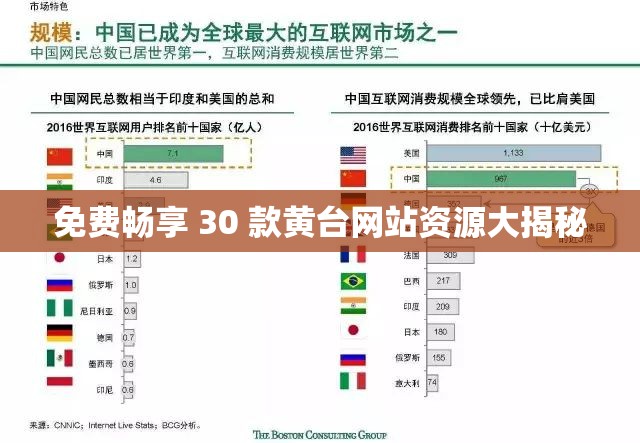 免費(fèi)暢享 30 款黃臺(tái)網(wǎng)站資源大揭秘