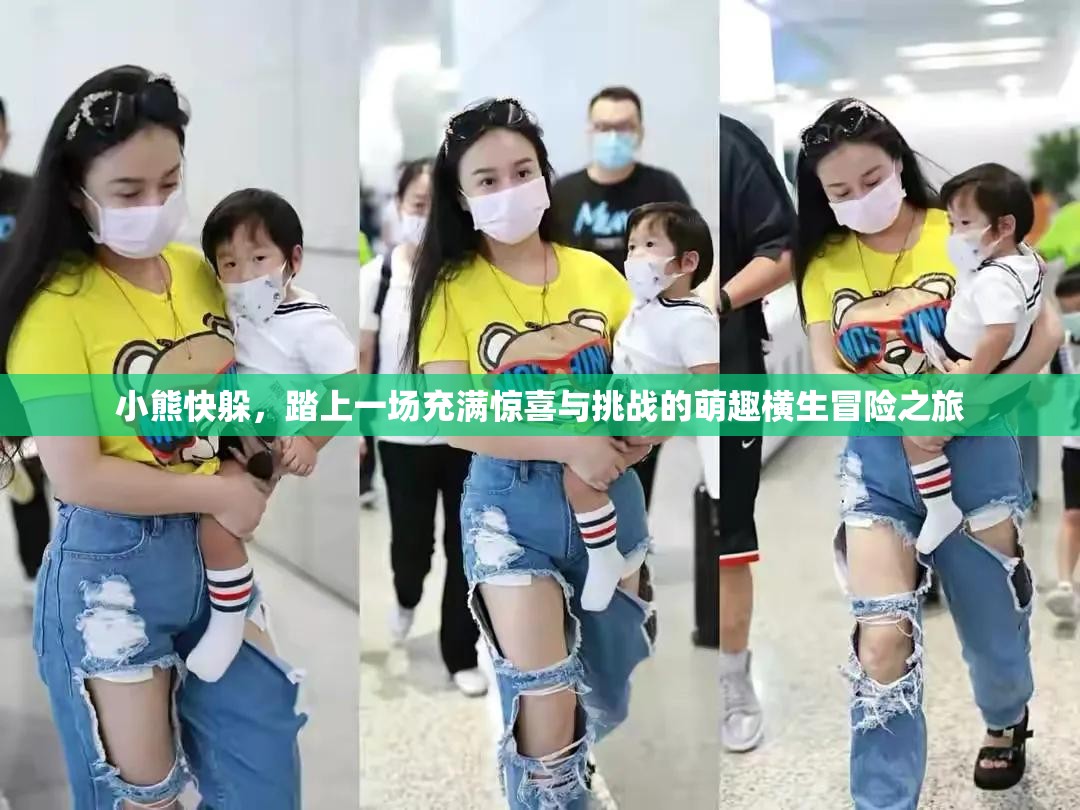 小熊快躲，踏上一場充滿驚喜與挑戰(zhàn)的萌趣橫生冒險之旅