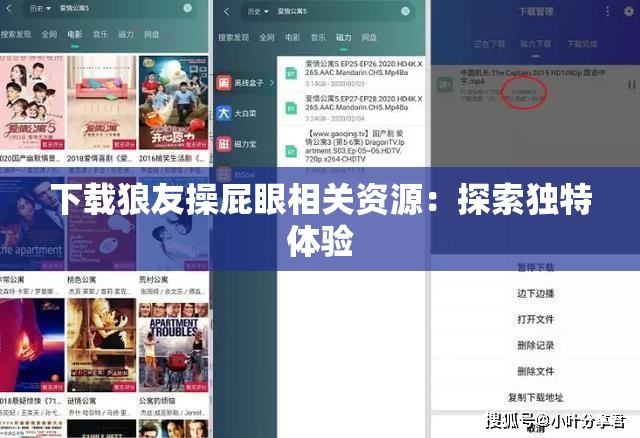 下載狼友操屁眼相關資源：探索獨特體驗