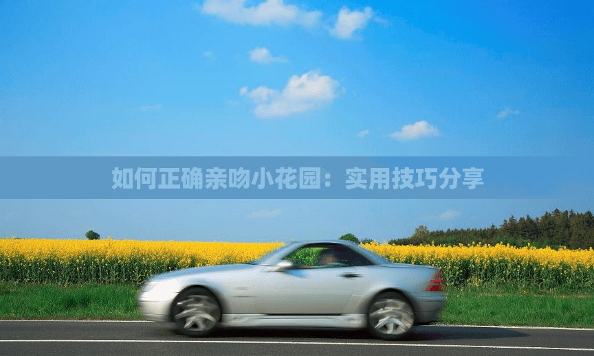 如何正確親吻小花園：實用技巧分享