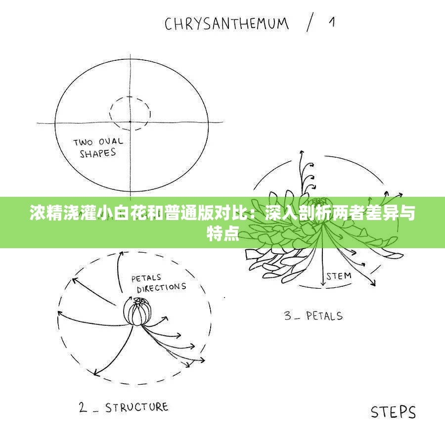 濃精澆灌小白花和普通版對比：深入剖析兩者差異與特點