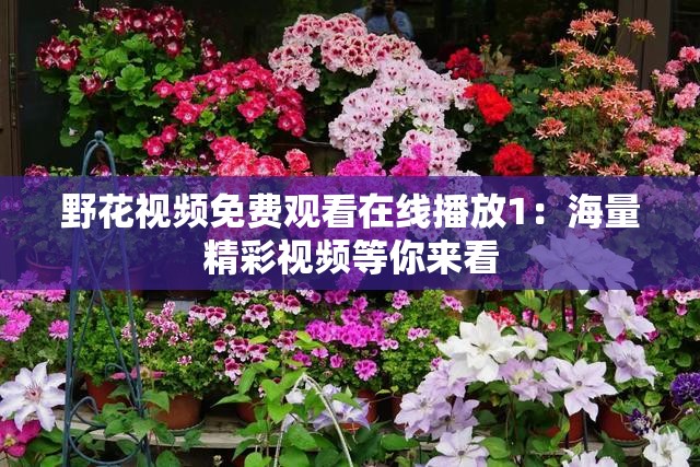 野花視頻免費(fèi)觀看在線播放1：海量精彩視頻等你來看