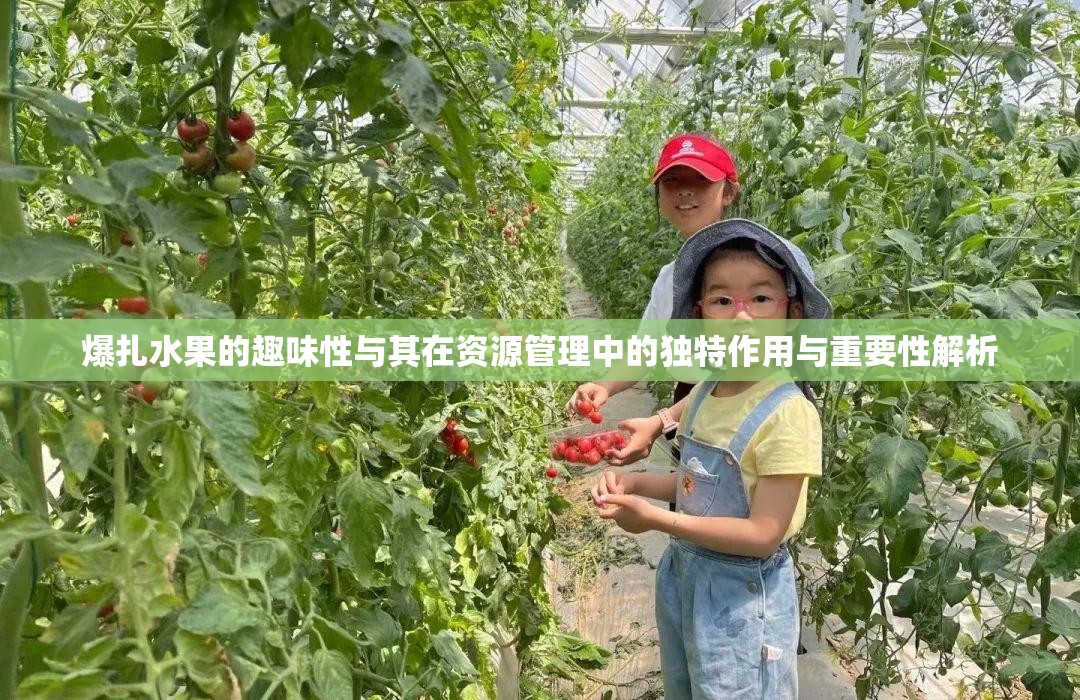 爆扎水果的趣味性與其在資源管理中的獨特作用與重要性解析