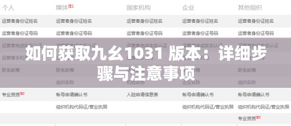 如何獲取九幺1031 版本：詳細(xì)步驟與注意事項(xiàng)