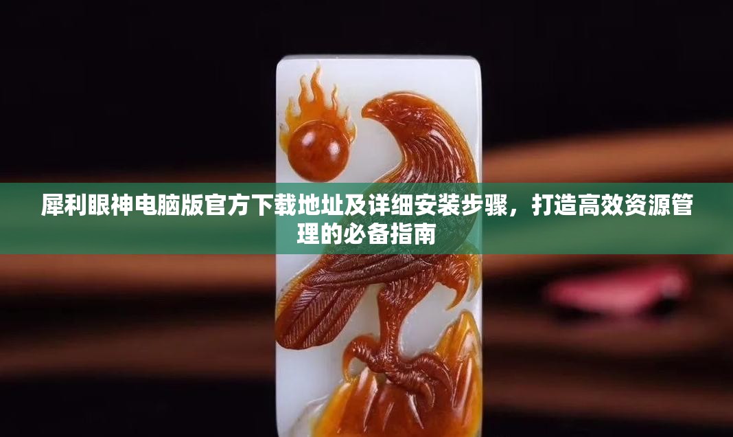 犀利眼神電腦版官方下載地址及詳細(xì)安裝步驟，打造高效資源管理的必備指南