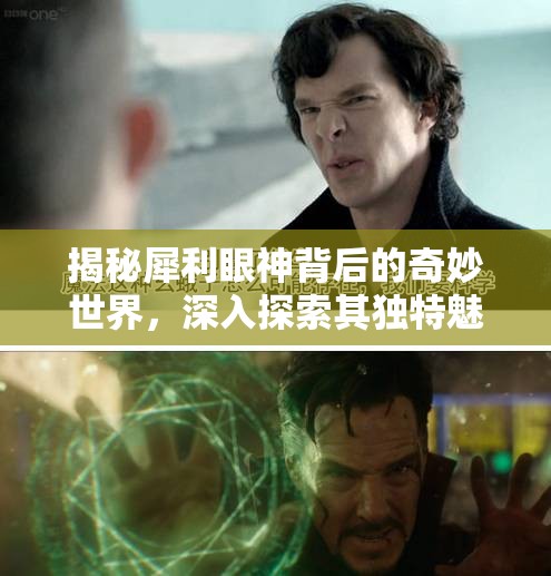 揭秘犀利眼神背后的奇妙世界，深入探索其獨(dú)特魅力與深層含義